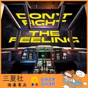 现货『三夏社』EXO 2021特别专 DON’T FIGHT THE FEELING LP版