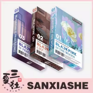国内现货【YG特典】『三夏社』BLACKPINK THE GAME 随机卡 PHOTOCARD