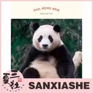 【预售】爱宝乐园官方周边 熊猫福宝 淘气鬼福宝的日常 2ND PHOTOBOOK