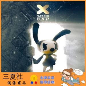 代购『三夏社』B.A.P BAP 迷你4 MATRIX 特别版_X VER.
